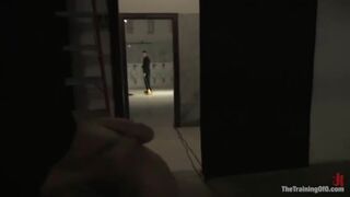 Mistress and Master Training Harmony Rose