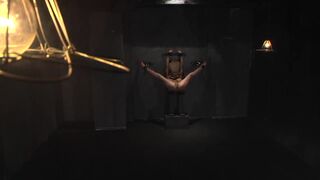 Japanese Degradation and Hardcore BDSM