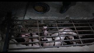 Sierra Cirque's HD Domination