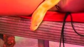 Bald woman in Chains Solo Play