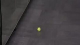 Cruel and Extreme Lezdom