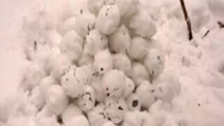 Snow BDSM - Queensnake Part 2