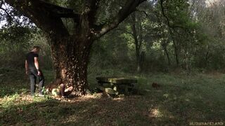 yellow-haired dominated in woods