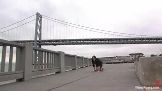 Just Walking The Pet