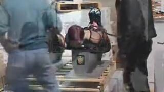 Getting Ready For the Shipment