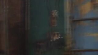 girl Tied, Used and sexed