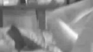 Slave hanged by her boobies