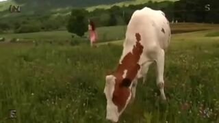 Insex Breast Play Extremes