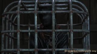 Cage Tales - Hazel Hypnotic