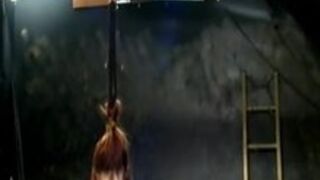 Whipped in Steel Restraints