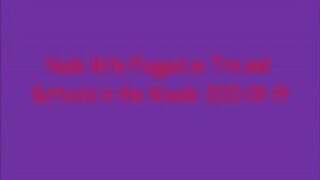 Flogged in the Woods