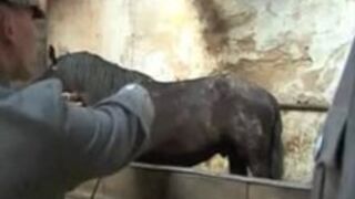 Disciplined for her duties