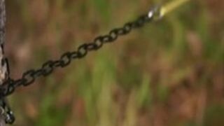 Queensnake - Puppy Play Outdoors