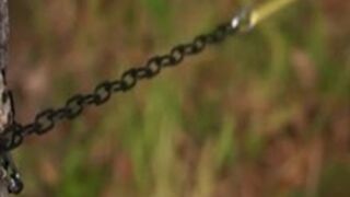 Queensnake - Puppy Nazryana 1