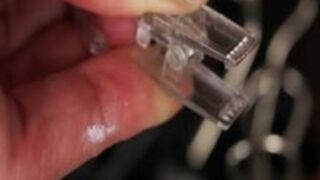 Queensnake - Crocodile