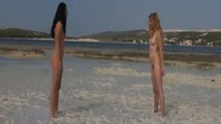 Queensnake - Silver Mud 1