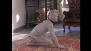 Mistress and her kennel - Part 2