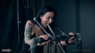 Lily Lane - Restricted