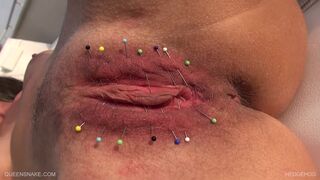 Hedgehog - Queensnake Extreme pussy torment