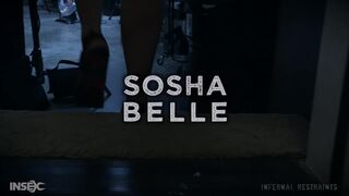 New Life of Sosha Belle