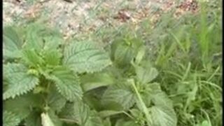 Mistress Larissa - cock torment - CBT