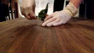 Cock torment on Cockboard