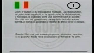 Kitkat - 3 Bengel Fur Charly 29 - German