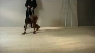 Pet woman on a Leash