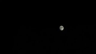 Halloween Treat - Insex