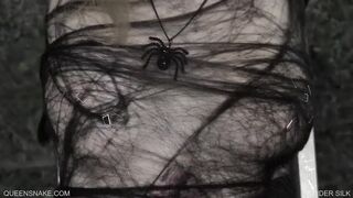 Queensnake.com - Spider Silk