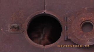 Ice Pony - Extreme RT