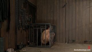 Dana Dearmond and Ariel X in Device Bondage