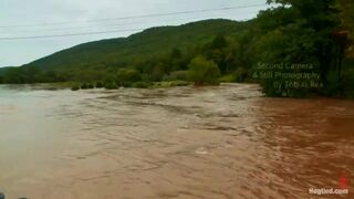 Camping Trip in the Woods - Part 1