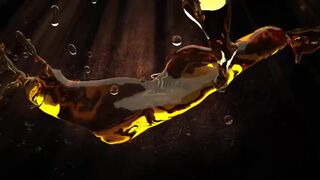 Thief Pays The Price