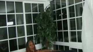 Vanilla - White Cock Two Black Whores