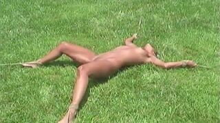 liking The Sun