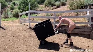 Humiliation Box