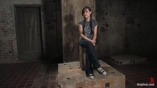 Sasha Grey - in Hogtied