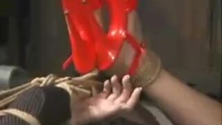 Strung up Secretary - Insex