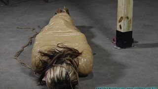 Mummified and Wrapped Up