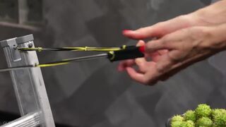 The Catapult