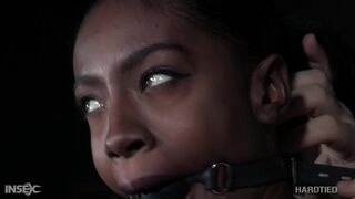 Anne Amari in Session