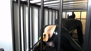 girl man in cage for a fucking machine