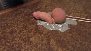 CBT Handjob and Sounding