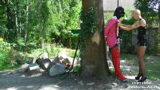 Public Sissy Training