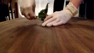 Nettles Cockboard CBT