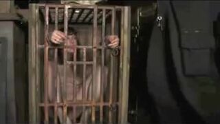 PD Training Pony Girl