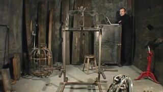 912,120,33 - Feed Insex