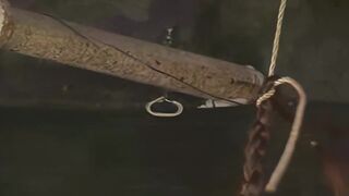 Insex - AZ Live Feed