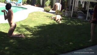 Two Dommes Train Whip Humiliate And Measure cocks Of Two Naked Male